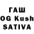 Псилоцибиновые грибы Magic Shrooms Nihat Esgerov