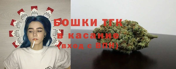 гидра Алзамай