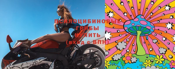 гидра Алзамай