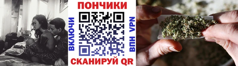 МАРИХУАНА план  MEGA рабочий сайт  Кудрово  как найти  